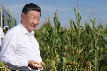 习近平向广大农民和&ldquo;三农&rdquo;战线上的同志致以节日祝贺和诚挚问候
